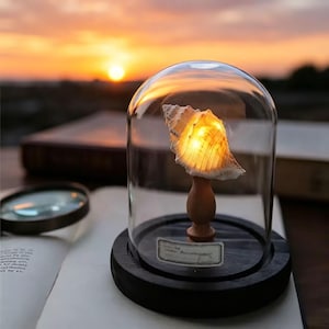 Vintage Mini Mushroom Lamp | Natural Shell/Sea Urchin Light in Glass Dome