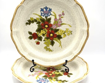 2 Mikasa EC403 8" saladeborden tuinmand met wilde bloemen Japan VTG 1970s Read
