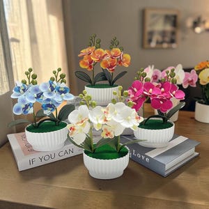 Puede incluir: Una colección de orquídeas artificiales en macetas blancas con estrías. Las orquídeas presentan flores vibrantes en tonos azules, naranjas, rosas y blancos. Las plantas están dispuestas sobre una superficie de madera con libros.