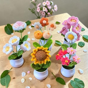 Puede incluir: Una colección de flores de ganchillo hechas a mano en macetas blancas pequeñas. Las flores incluyen un girasol, margaritas y otras flores coloridas en tonos de rosa, naranja y blanco. Hojas verdes y musgo artificial completan los arreglos.