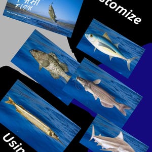 Puede incluir: Una colección de imágenes con varias especies de peces, incluyendo un pez saltando, un mero, un atún, un bagre, una barracuda y un tiburón. Las imágenes están sobre un fondo de agua azul, con texto "Name That Fish" y "How well do you know fish?"