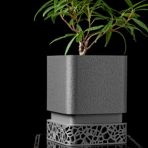Puede incluir: Una pequeña planta verde con múltiples ramas y hojas en una maceta cuadrada gris texturizada. La maceta se asienta sobre una base gris con un patrón geométrico decorativo. El fondo es negro.