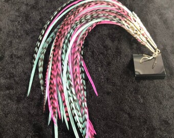 Pink & Turquoise Feather Earrings