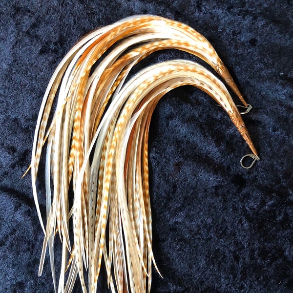 Extra Long Length! Barred Ginger Cream Feather Earrings