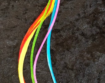 Rainbow Solid 12”+ Hair Feather Extensions Bundle