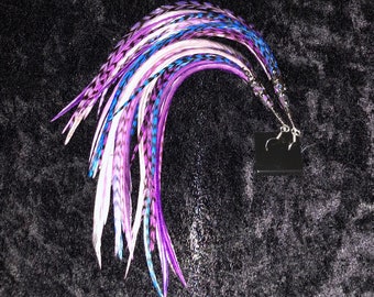 Purple & Blue Feather Earrings