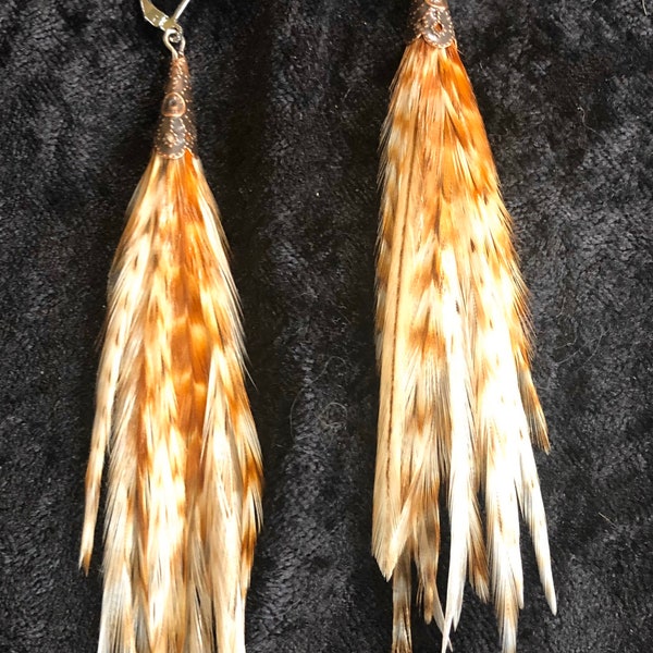 Short Length Natural Barred Ginger Grizzly Feather Earrings