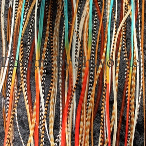 100 Loose Feathers 9-12” (23-31cm) Premium Natural and Color Mix Hair Feathers Extensions (Grizzly, Solid and fade colors like pictured)