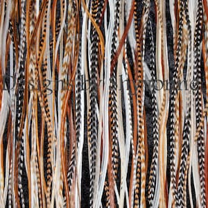 Può includere: Una collezione di lunghe piume colorate in tonalità di marrone, bianco e nero. Le piume sono disposte verticalmente e presentano una varietà di motivi.