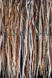 10   9-12” Premium Natural Hair Feathers Extensions (Grizzly & Solid Colors as pictured) 