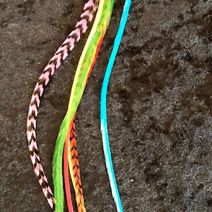 Rainbow Grizzly and Solid 12”+ Hair Feather Extensions Bundle