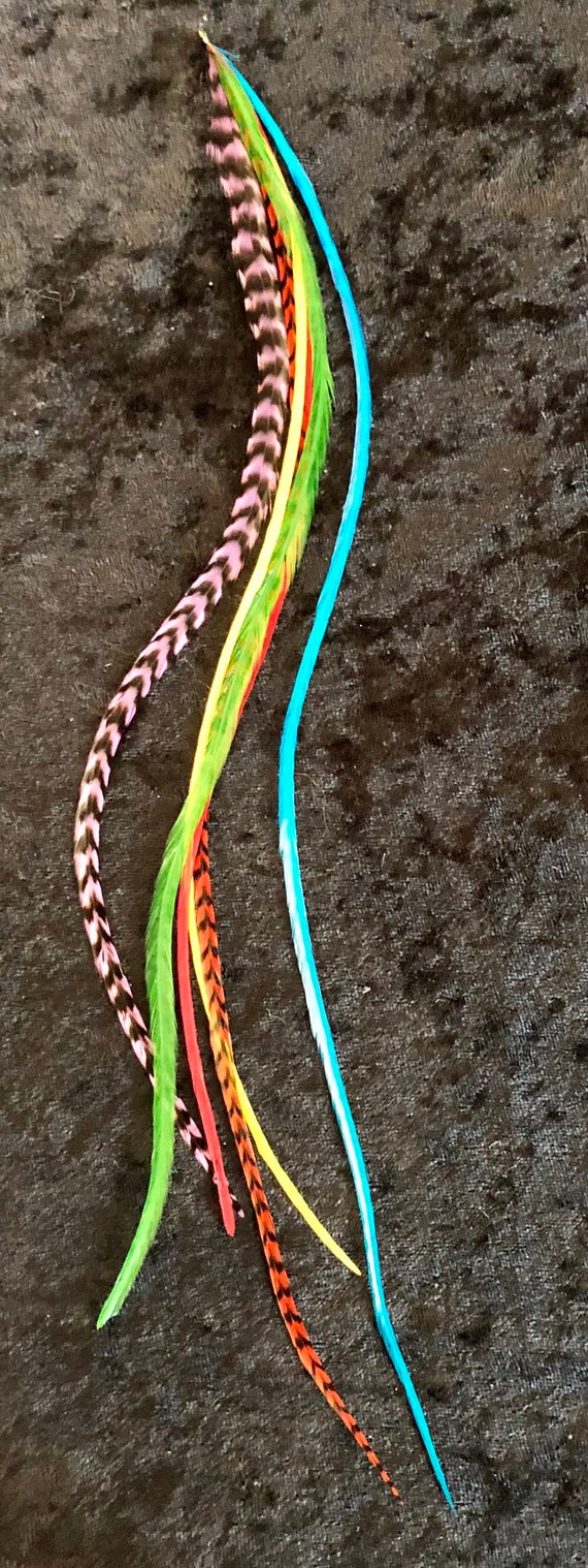 Rainbow Feathers Feather Hair Extensions Online India Rainbow