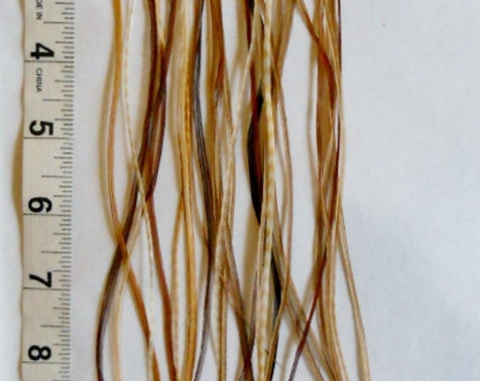 Bulk 25 Premium Natural Hair Feathers Extensions Make Your Own Etsy