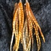 see more listings in the Feather Earrings section