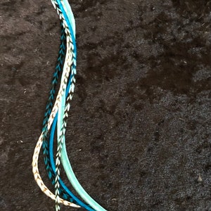 Turquoise Teal and White 12”+ Hair Feather Extensions Bundle