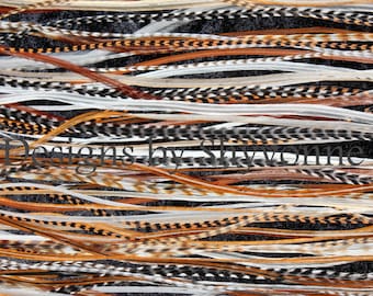 ジャングルコックのケープ Junglecock / ジャングルコック | Anglefield Fly Supplies