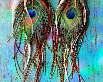 Peacock Feather Earrings Medium Natural