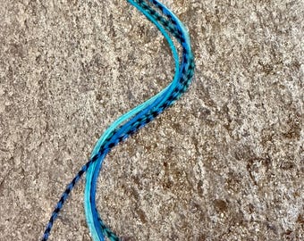 Türkis, Teal und Blau 12 ”+ Haarfederverlängerungspaket