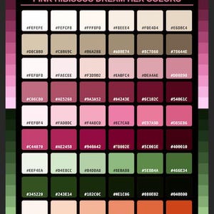 Può includere: Una tabella di tavolozza colori intitolata PINK HIBISCUS DREAM HEX COLORS, che presenta una griglia di 48 campioni rettangolari. Ogni campione mostra un colore unico e il relativo codice esadecimale, dai rosa chiari e crema ai verdi e arancioni scuri.