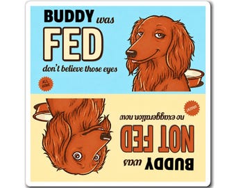 May include: A rectangular sticker featuring two panels. The top blue panel shows a brown dog with the text BUDDY was FED don't believe those eyes and a red ALL GONE stamp. The bottom yellow panel is inverted, showing the same dog with the text BUDDY was NOT FED no exaggeration now and an URGENT stamp.