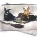 see more listings in the Pouches section