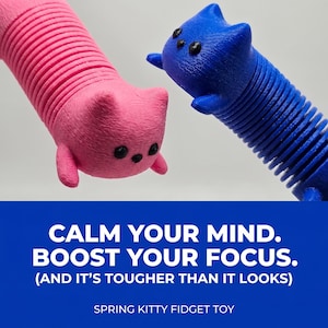 Può includere: Un giocattolo fidget a forma di gatto a molla rosa e blu. Il gatto rosa è a sinistra e il gatto blu a destra. Il testo sull'immagine dice: "CALMA LA TUA MENTE. AUMENTA LA TUA CONCENTRAZIONE. (ED È PIÙ DIFFICILE DI QUANTO SEMBRI) SPRING KITTY FIDGET TOY."