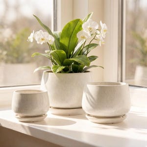 May include: Three speckled white ceramic plant pots of varying sizes, with matching saucers, sit on a windowsill. The largest pot holds a vibrant green plant with white orchid flowers. The pots have a modern, minimalist design.