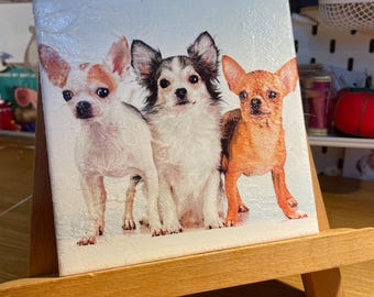 Azulejo decorativo de Chihuahua para decoupage