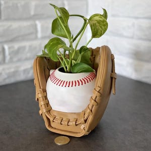 May include: A baseball-themed planter featuring a white ceramic baseball pot with red stitching, nestled inside a tan leather baseball glove. The planter holds a green leafy plant. A coin is visible in the foreground.