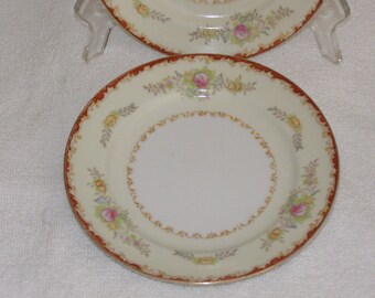 Vintage Dessert Saucers-2- Dishes Porcelain Beautiful Hand Painted Pattern