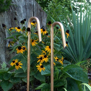 May include: Two copper garden stakes with a curved top, standing in a garden bed with yellow and black flowers.