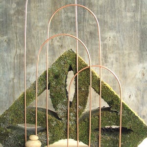 Copper Plant Trellis Arch: Orchid-Friendly Houseplant Support