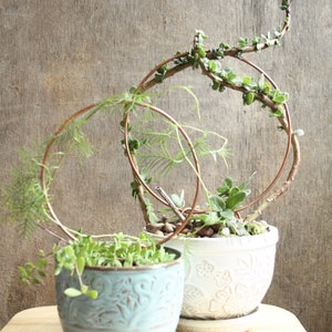 Copper Plant Trellis Houseplant Support Wire Stake