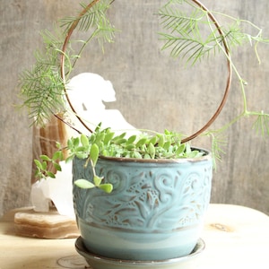 May include: A light blue ceramic planter with an ornate design, featuring a green plant growing inside and a copper wire hoop around the plant.