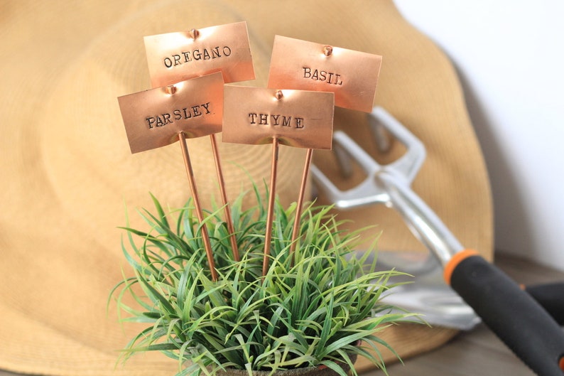 May include: Four copper plant markers with the words "Oregano", "Parsley", "Thyme", and "Basil" engraved on them. The markers are inserted into a small potted plant.