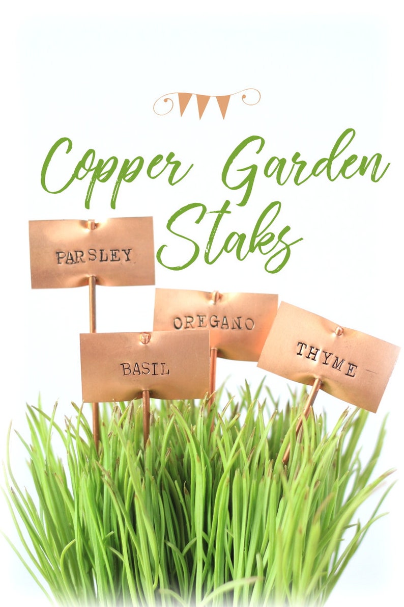 May include: Copper garden stakes with labels for basil, oregano, parsley, and thyme. The stakes are inserted into a bed of green grass.