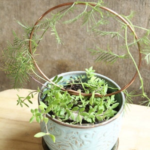 May include: A light blue ceramic planter with a decorative design, featuring a copper wire hoop and a variety of green plants growing inside.