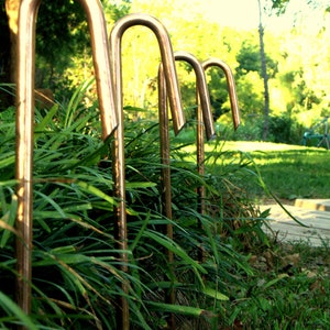 May include: A row of five copper garden stakes, each with a curved top, are planted in a bed of green grass. The stakes are arranged in a line, with the tallest stake in the back and the shortest stake in the front.