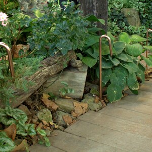 May include: A garden path made of wooden planks with copper plant stakes in the ground. The stakes are bent into a hook shape at the top. The path is surrounded by green plants and a log.