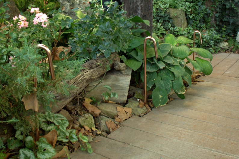 May include: A garden path made of wooden planks with copper plant stakes in the ground. The stakes are bent into a hook shape at the top. The path is surrounded by green plants and a log.