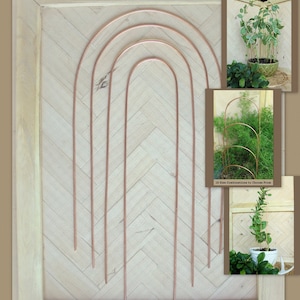 May include: A set of six copper arch trellises of varying sizes. The trellises are arranged in a row on a wooden background. The image also shows examples of the trellises being used to support plants.