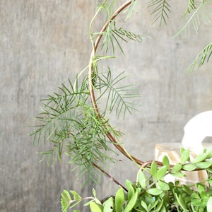 May include: A green plant with long, thin leaves growing around a copper hoop. The plant is in a blue ceramic pot.