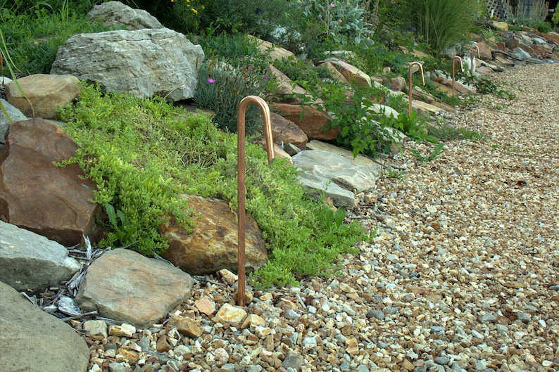 May include: A row of copper garden stakes with curved tops are placed in a gravel pathway lined with rocks and greenery.