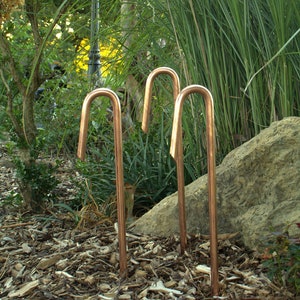 May include: Three copper garden stakes with a curved top, standing in a bed of brown wood chips.