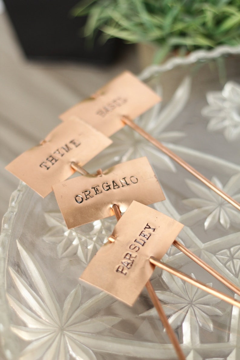 May include: Four copper plant markers with the words "Thyme", "Oregano", "Parsley", and "Basil" engraved on them. The markers are on a clear glass surface.