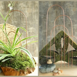 Copper Plant Arch Trellis for Houseplants, Hoya Support Wire Stake or Orchid Trellis