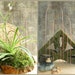 see more listings in the Indoor/Outdoor Garden section