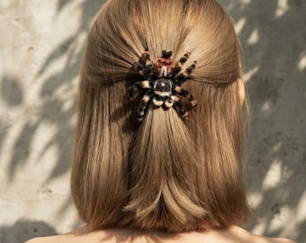 May include: A hair clip shaped like a tarantula spider with black, white, and reddish-brown fuzzy textures. The spider is positioned at the center of the back of the head, securing a section of light brown hair in a half-up hairstyle.