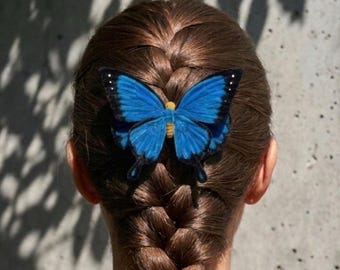 Sunlit Wings