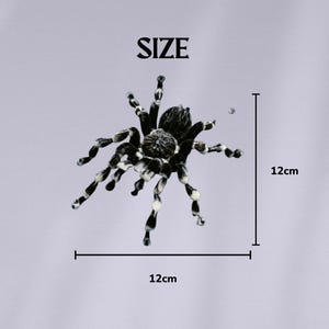 May include: A black and white spider figurine with a textured body and striped legs. The text SIZE is printed above the spider. Measurement lines indicate the spider has a width of 12cm and a height of 12cm, providing a clear visual scale.